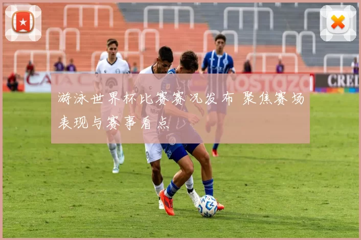游泳世界杯比赛赛况发布 聚焦赛场表现与赛事看点
