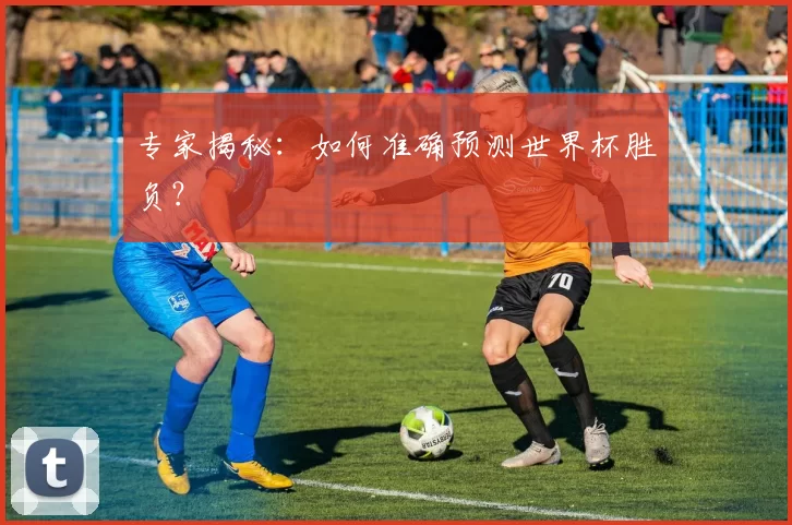 专家揭秘:如何准确预测世界杯胜负?