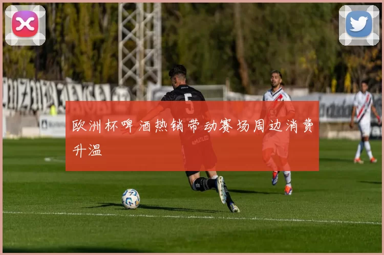 欧洲杯啤酒热销带动赛场周边消费升温