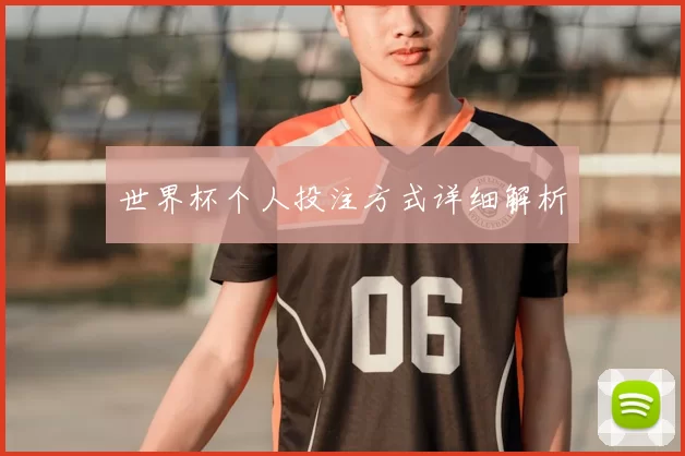 世界杯个人投注方式详细解析