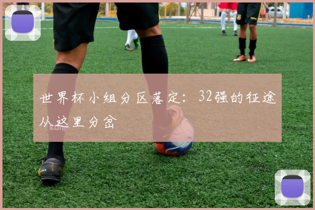 世界杯小组分区落定：32强的征途从这里分岔