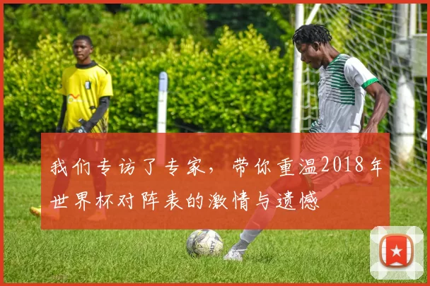 我们专访了专家,带你重温2018年世界杯对阵表的激情与遗憾