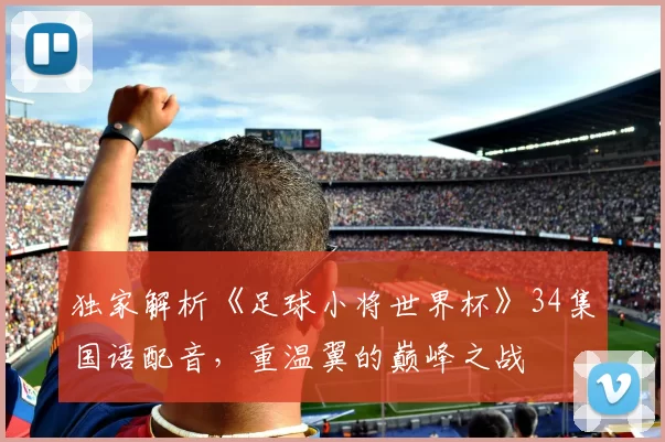 独家解析《足球小将世界杯》34集国语配音,重温翼的巅峰之战