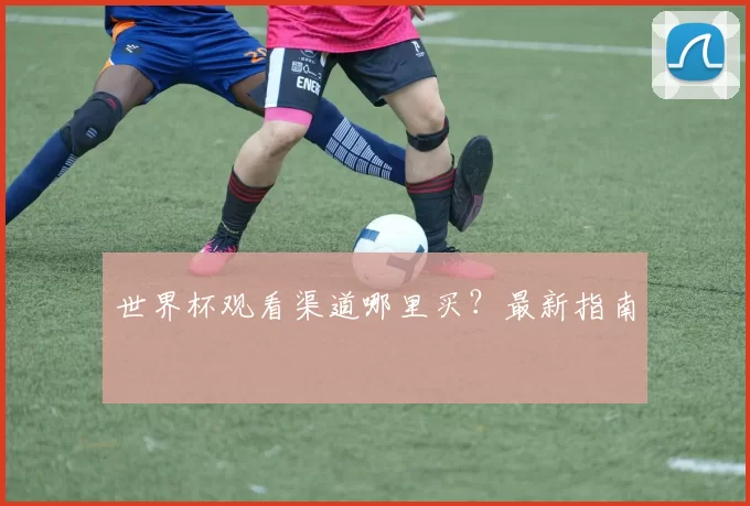 世界杯观看渠道哪里买?最新指南