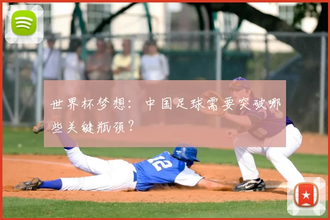世界杯梦想:中国足球需要突破哪些关键瓶颈?