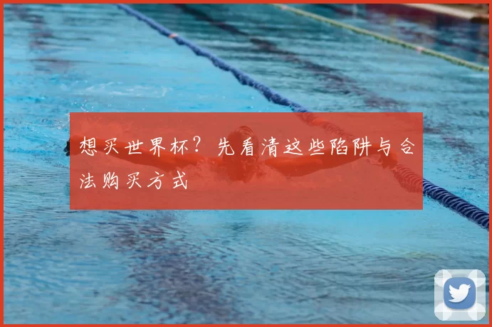 想买世界杯?先看清这些陷阱与合法购买方式