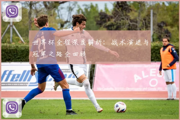 世界杯全程深度解析：战术演进与冠军之路全回顾