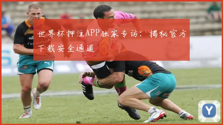 世界杯押注APP独家专访:揭秘官方下载安全通道