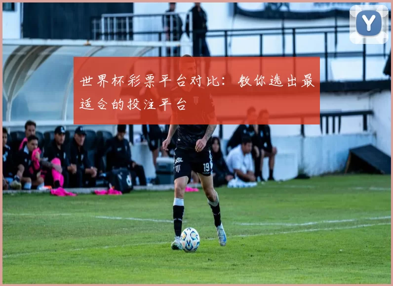 世界杯彩票平台对比：教你选出最适合的投注平台
