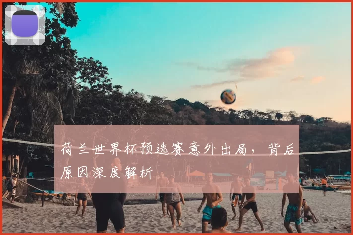 荷兰世界杯预选赛意外出局,背后原因深度解析