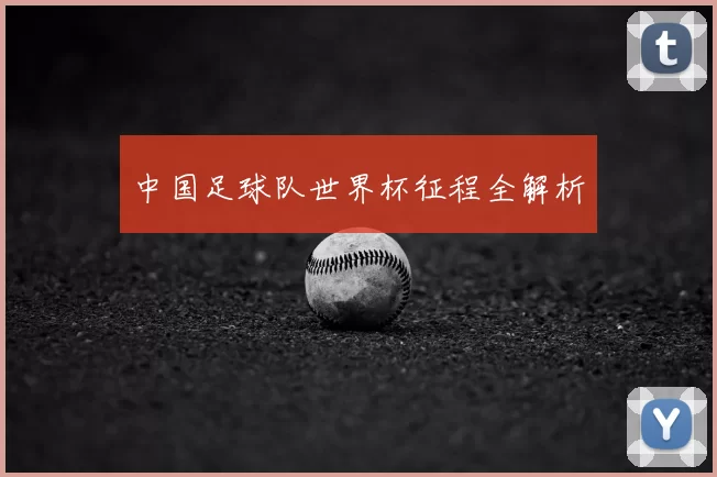 中国足球队世界杯征程全解析