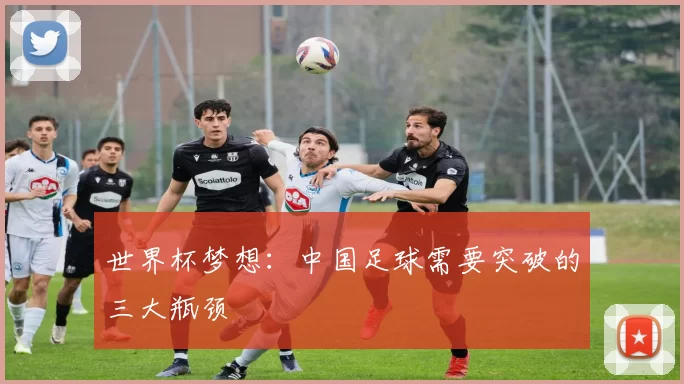 世界杯梦想:中国足球需要突破的三大瓶颈